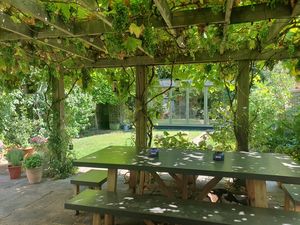 Summer Vine on the Pergola- click for photo gallery